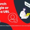 The Ultimate Guide About “Search Google or Type a URL”?