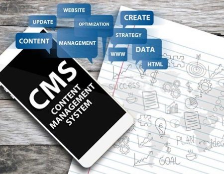 CMS Website Development Delhi​